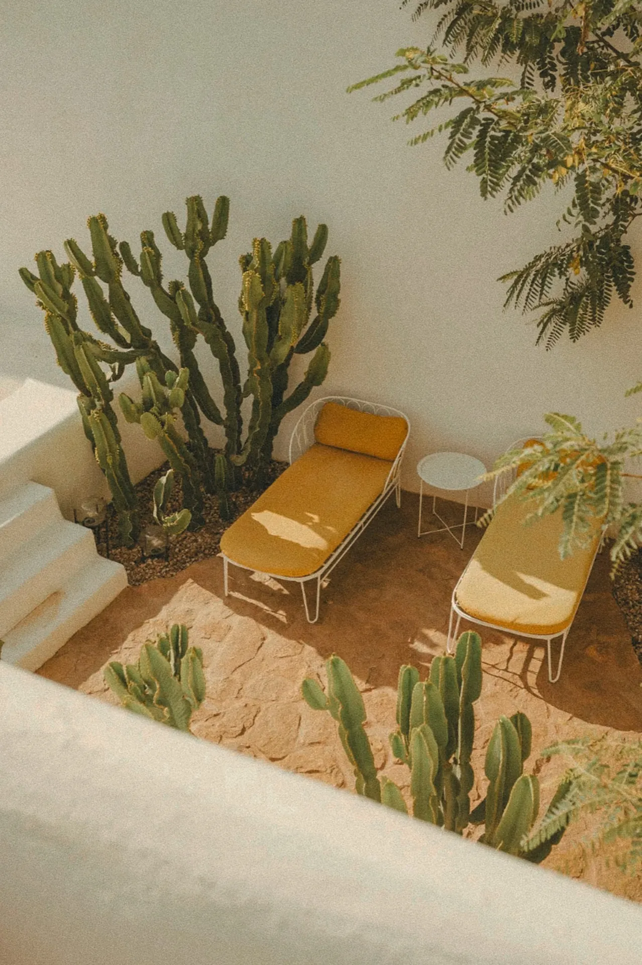 Detail van het domein met cactussen