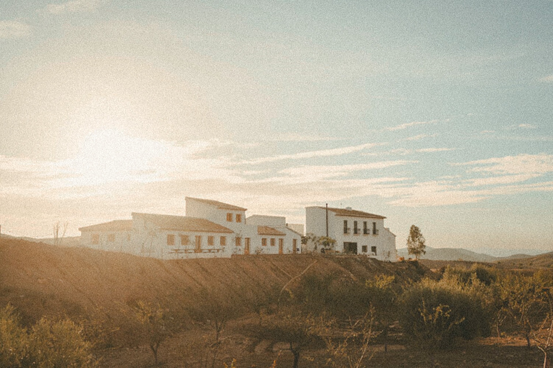 Cortijo Banana — de villa