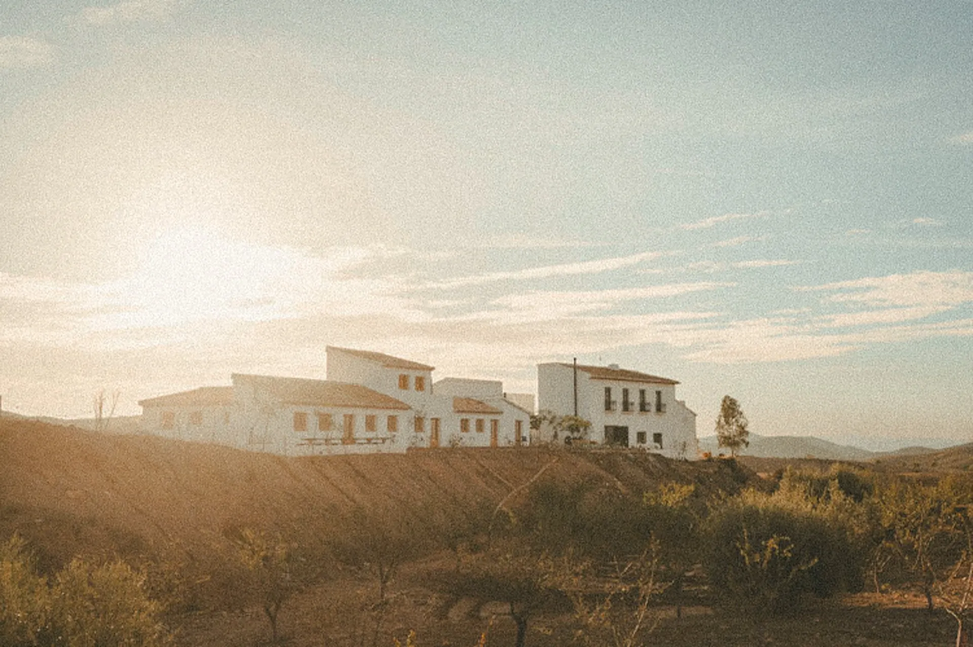 Cortijo Banana — de villa