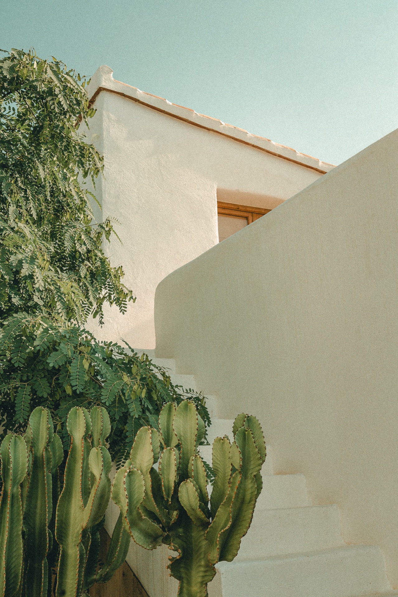 Cortijo Banana — de plek