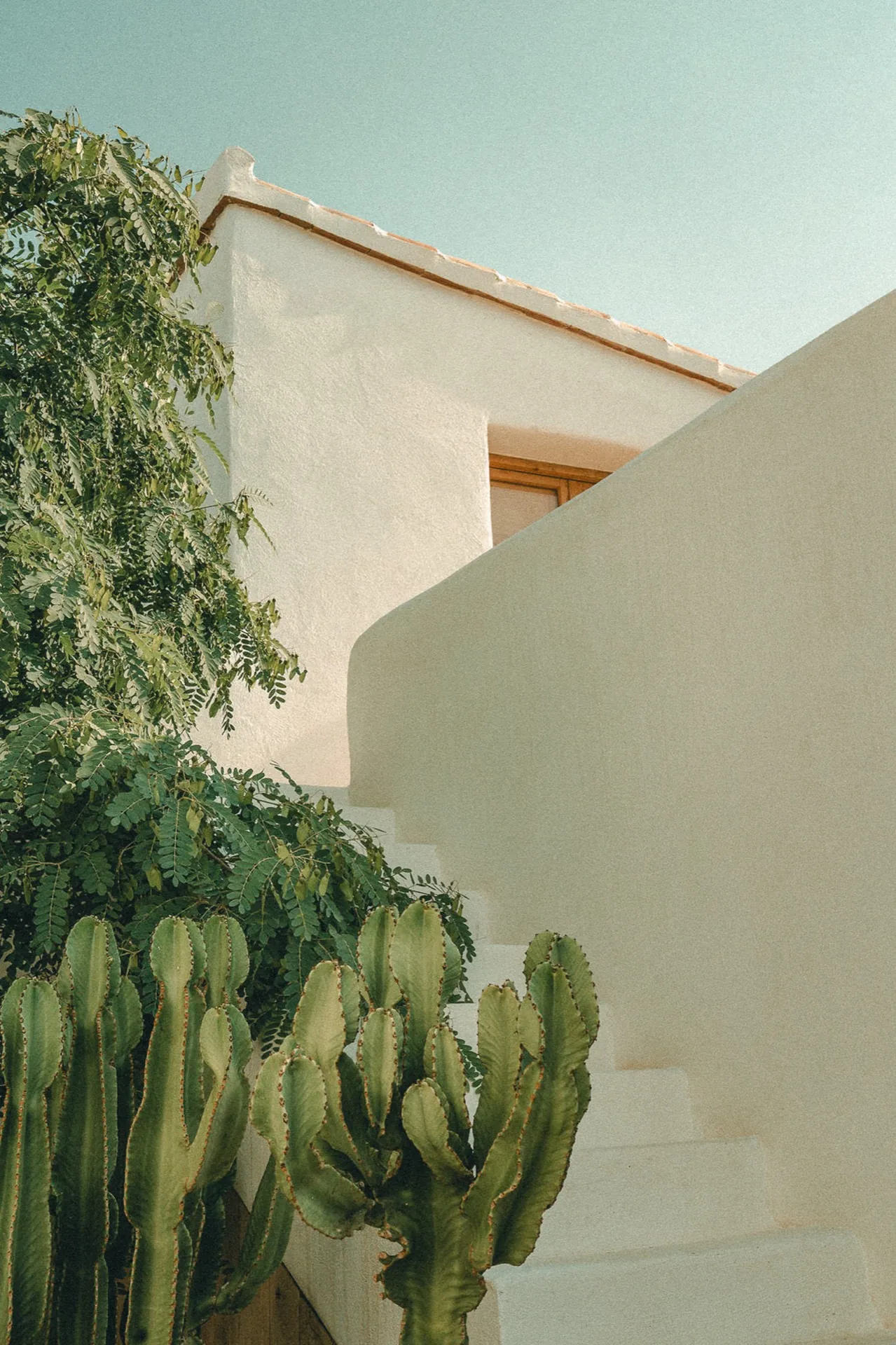 Cortijo Banana — de plek