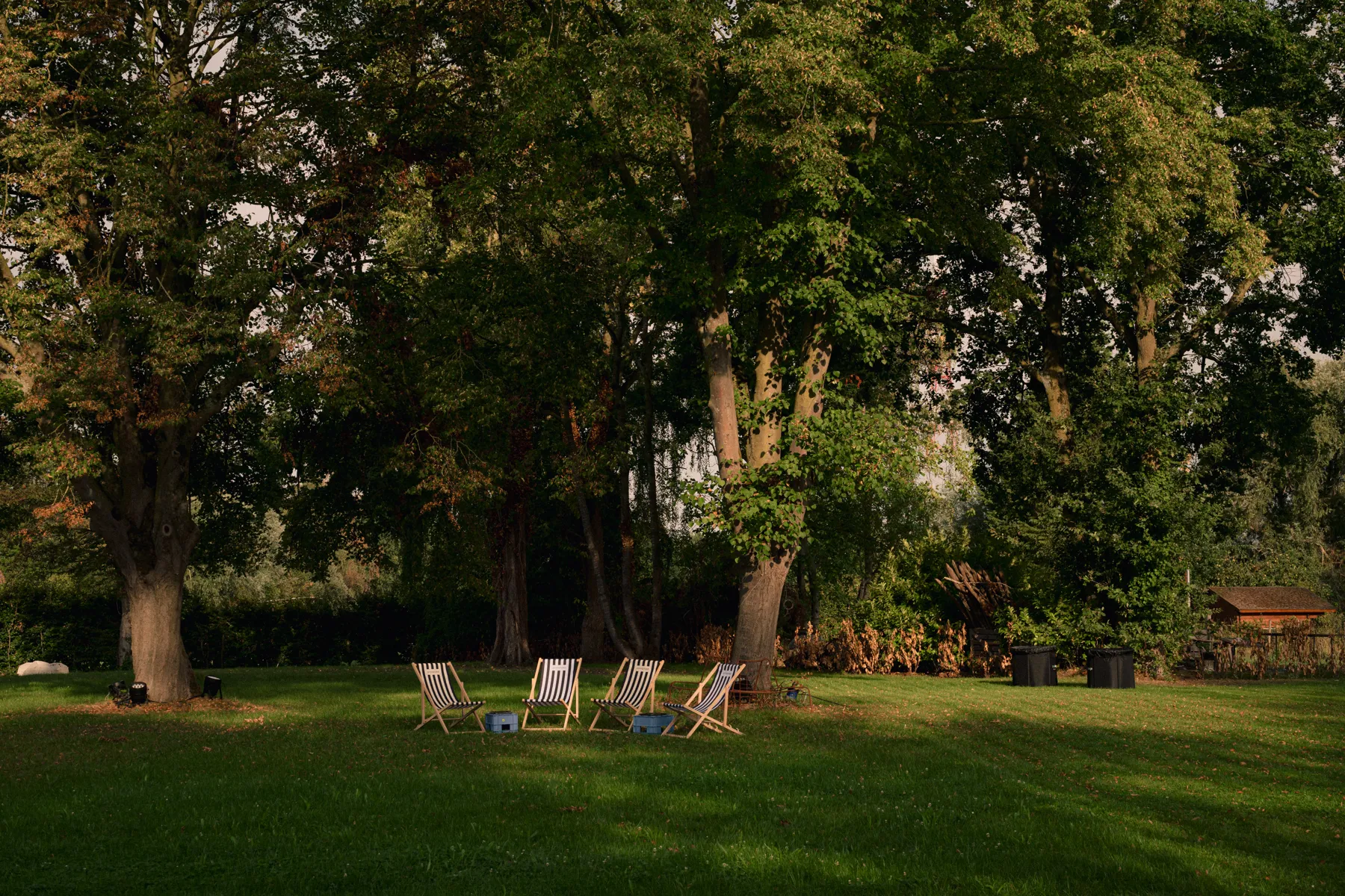 Strandstoelen in het park, klaar voor de pauze
